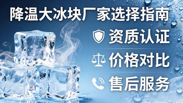 降温大冰块厂家直供_降温大冰块质量细节_深圳龙岗区降温大冰块销售厂家